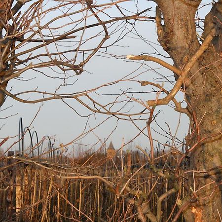 De Betuwe Hotell Asch Eksteriør bilde