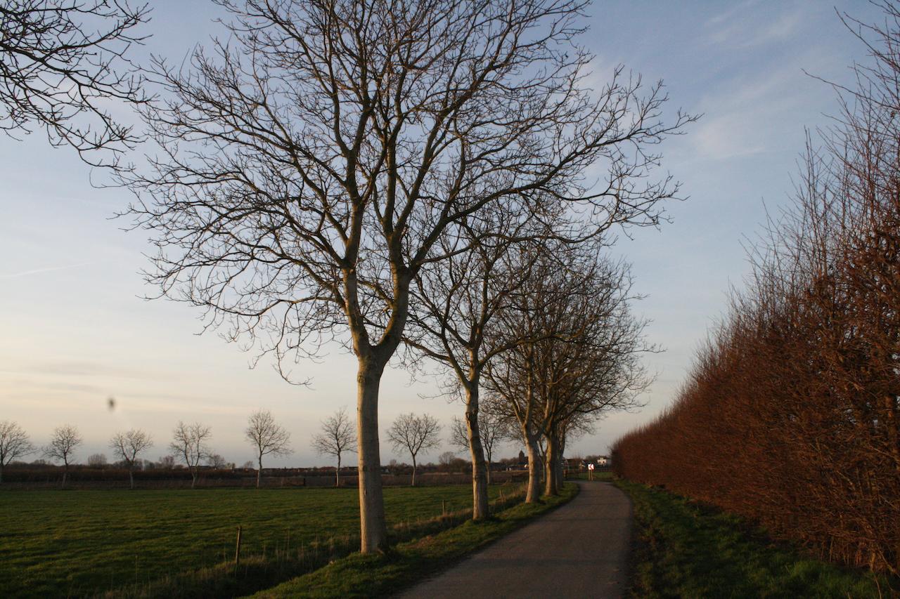 De Betuwe Hotell Asch Eksteriør bilde